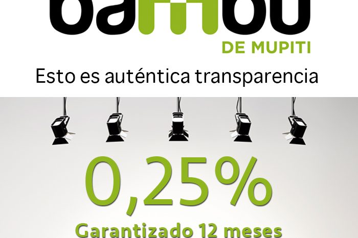 BANNER BAMBU 2018 600